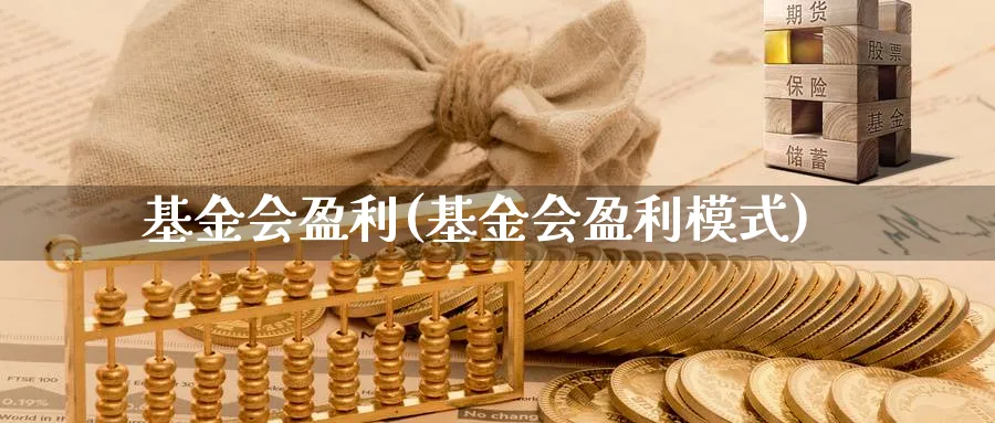 基金会盈利(基金会盈利模式)_https://www.lfyiying.com_美股_第1张