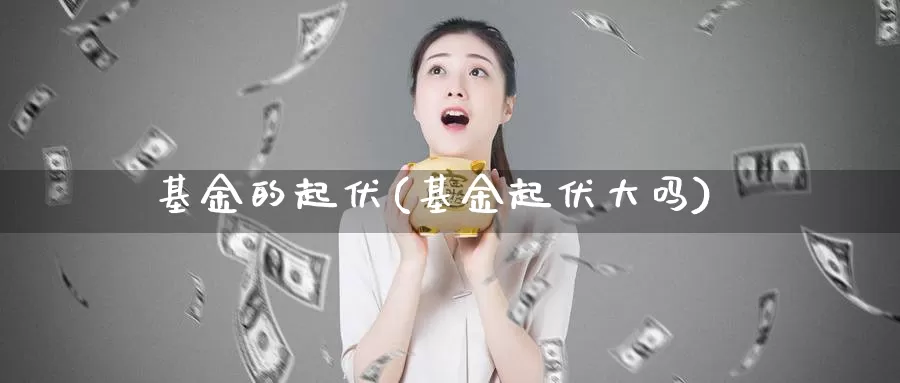 基金的起伏(基金起伏大吗)_https://www.lfyiying.com_股票分类_第1张