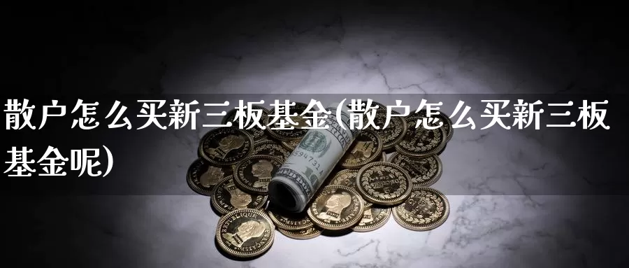 散户怎么买新三板基金(散户怎么买新三板基金呢)_https://www.lfyiying.com_美股_第1张