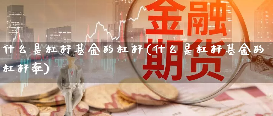 什么是杠杆基金的杠杆(什么是杠杆基金的杠杆率)_https://www.lfyiying.com_港股_第1张