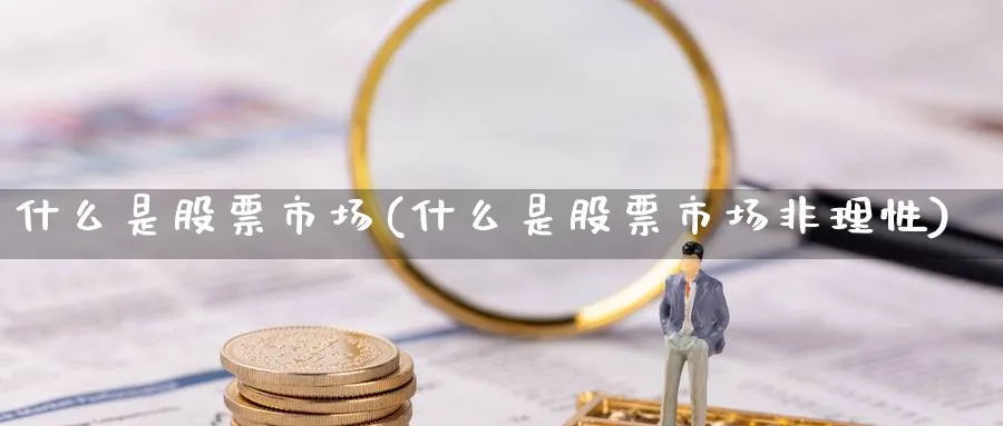 什么是股票市场(什么是股票市场非理性)_https://www.lfyiying.com_股票分类_第1张