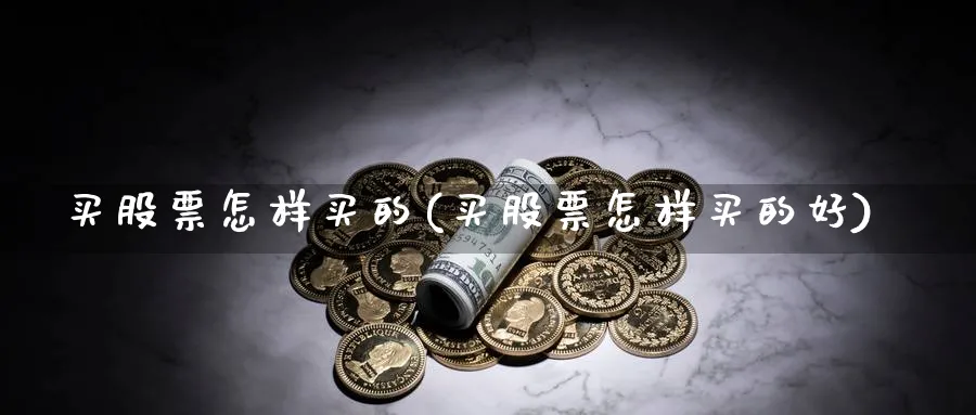 买股票怎样买的(买股票怎样买的好)_https://www.lfyiying.com_证券_第1张