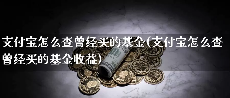 支付宝怎么查曾经买的基金(支付宝怎么查曾经买的基金收益)_https://www.lfyiying.com_股吧_第1张