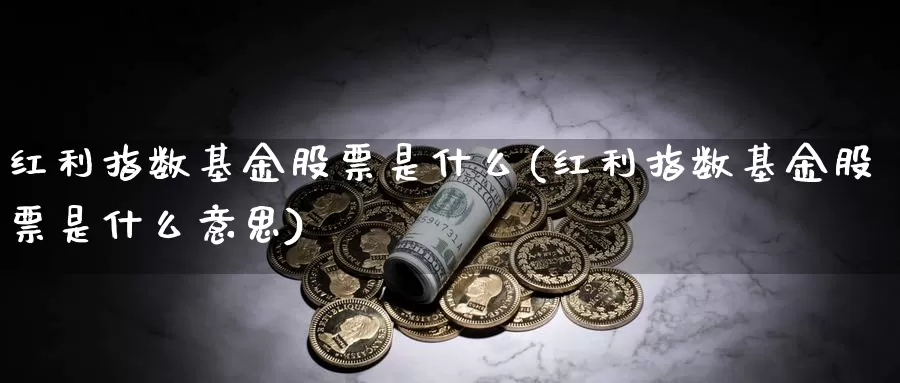 红利指数基金股票是什么(红利指数基金股票是什么意思)_https://www.lfyiying.com_股吧_第1张