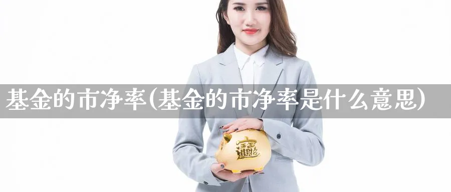 基金的市净率(基金的市净率是什么意思)_https://www.lfyiying.com_个股_第1张