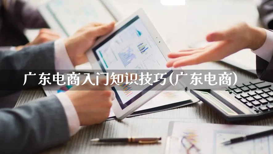 广东电商入门知识技巧(广东电商)_https://www.lfyiying.com_股票百科_第1张