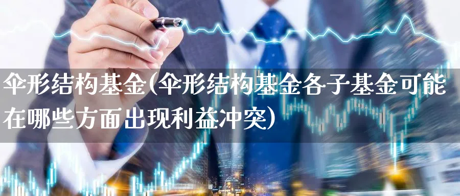 伞形结构基金(伞形结构基金各子基金可能在哪些方面出现利益冲突)_https://www.lfyiying.com_美股_第1张