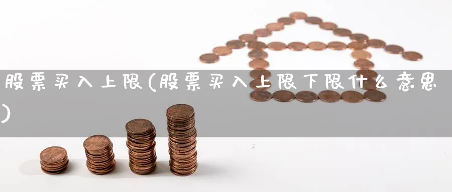 股票买入上限(股票买入上限下限什么意思)_https://www.lfyiying.com_港股_第1张