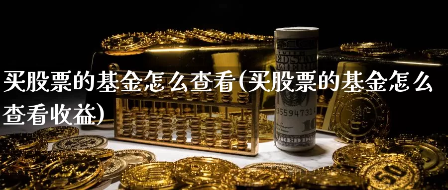 买股票的基金怎么查看(买股票的基金怎么查看收益)_https://www.lfyiying.com_证券_第1张