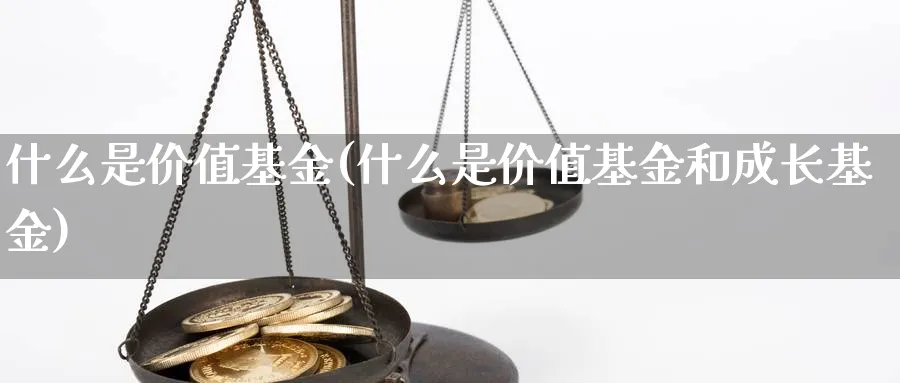 什么是价值基金(什么是价值基金和成长基金)_https://www.lfyiying.com_港股_第1张