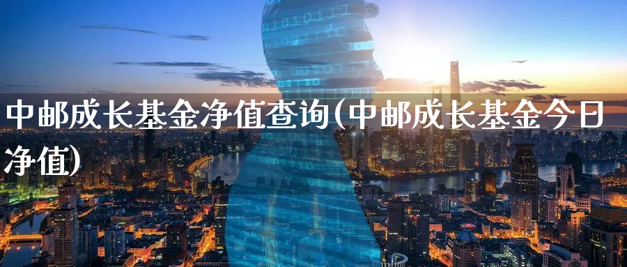 中邮成长基金净值查询(中邮成长基金今日净值)_https://www.lfyiying.com_股票分类_第1张