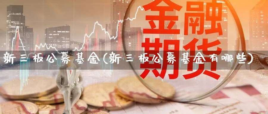 新三板公募基金(新三板公募基金有哪些)_https://www.lfyiying.com_证券_第1张