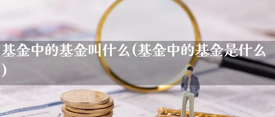 基金中的基金叫什么(基金中的基金是什么)_https://www.lfyiying.com_股吧_第1张