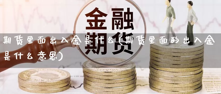 期货里面出入金是什么(期货里面的出入金是什么意思)_https://www.lfyiying.com_港股_第1张