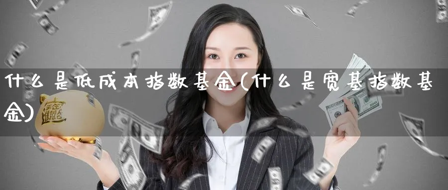 什么是低成本指数基金(什么是宽基指数基金)_https://www.lfyiying.com_个股_第1张