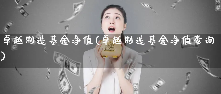 卓越制造基金净值(卓越制造基金净值查询)_https://www.lfyiying.com_股票百科_第1张