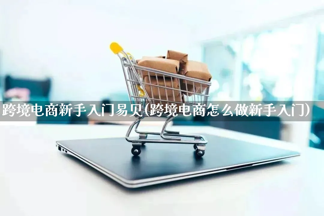 跨境电商新手入门易贝(跨境电商怎么做新手入门)_https://www.lfyiying.com_新股_第1张