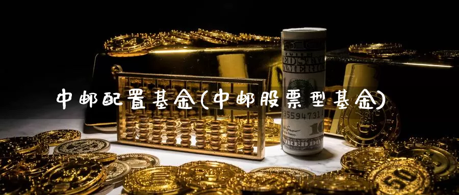 中邮配置基金(中邮股票型基金)_https://www.lfyiying.com_证券_第1张