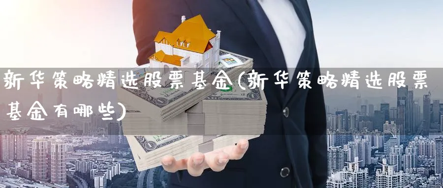 新华策略精选股票基金(新华策略精选股票基金有哪些)_https://www.lfyiying.com_股票分类_第1张