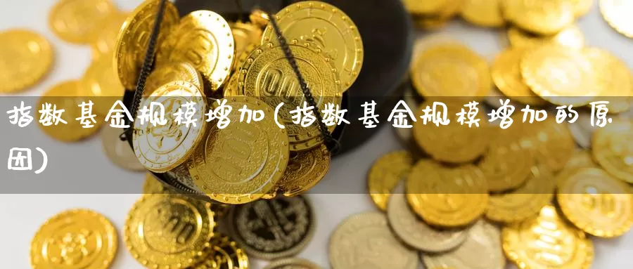 指数基金规模增加(指数基金规模增加的原因)_https://www.lfyiying.com_证券_第1张