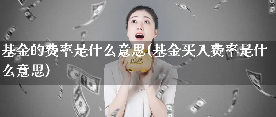 基金的费率是什么意思(基金买入费率是什么意思)_https://www.lfyiying.com_股票分类_第1张