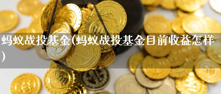 蚂蚁战投基金(蚂蚁战投基金目前收益怎样)_https://www.lfyiying.com_证券_第1张