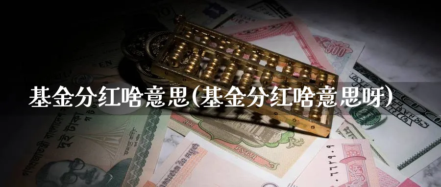 基金分红啥意思(基金分红啥意思呀)_https://www.lfyiying.com_股票分类_第1张