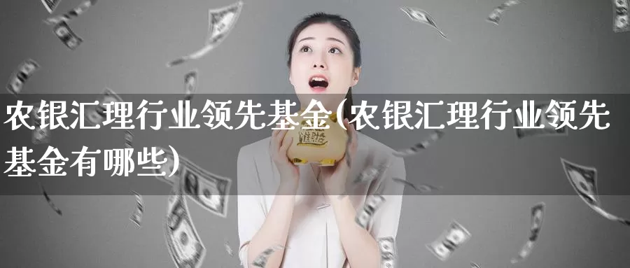 农银汇理行业领先基金(农银汇理行业领先基金有哪些)_https://www.lfyiying.com_美股_第1张