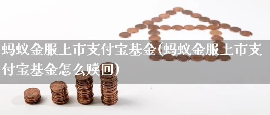 蚂蚁金服上市支付宝基金(蚂蚁金服上市支付宝基金怎么赎回)_https://www.lfyiying.com_美股_第1张