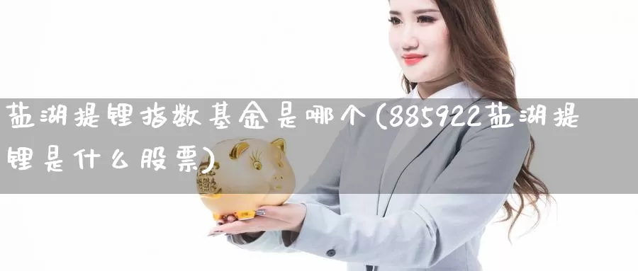 盐湖提锂指数基金是哪个(885922盐湖提锂是什么股票)_https://www.lfyiying.com_美股_第1张