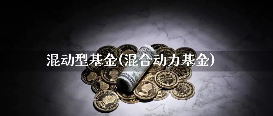 混动型基金(混合动力基金)_https://www.lfyiying.com_证券_第1张