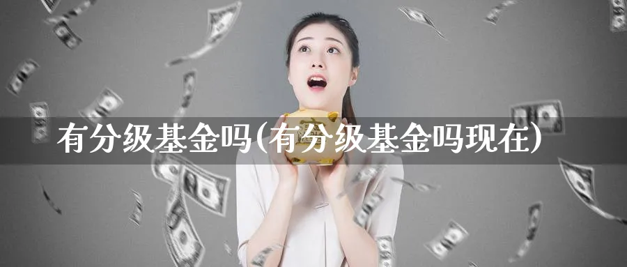 有分级基金吗(有分级基金吗现在)_https://www.lfyiying.com_港股_第1张