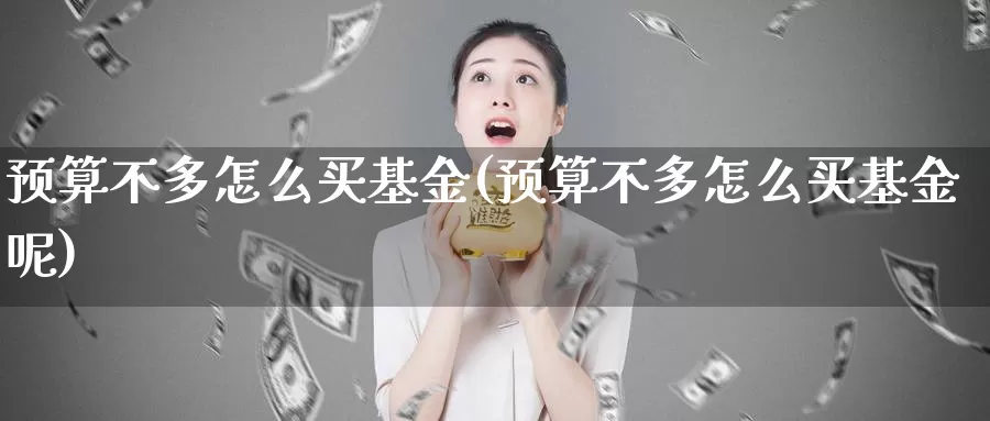 预算不多怎么买基金(预算不多怎么买基金呢)_https://www.lfyiying.com_股票分类_第1张